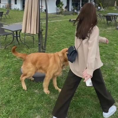 拯救绿色星球!